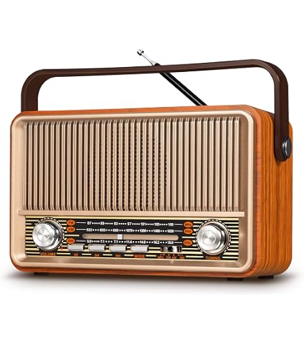 Amazon.com: PRUNUS J-120 Retro Vintage Radio Portable AM FM with